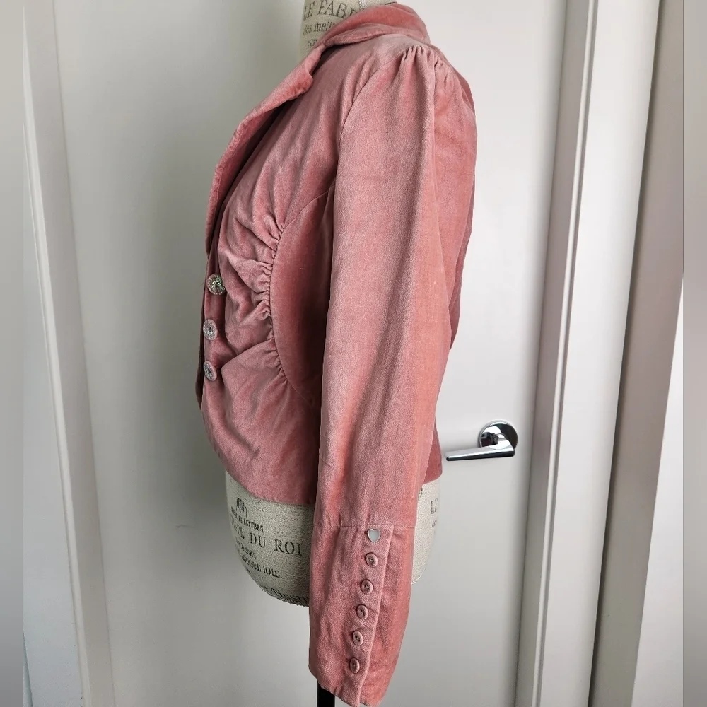 Vintage Pink Velvet Victorian Blazer - Picture 12 of 15